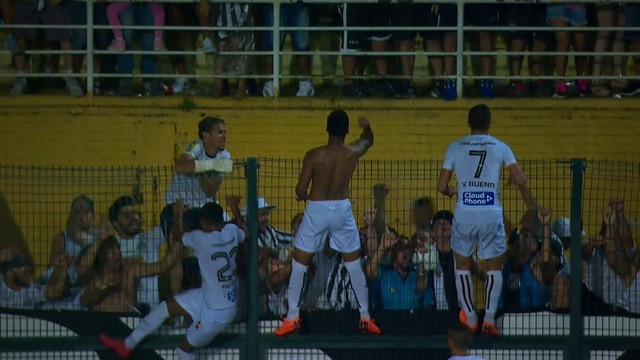 CAMPEONATOS ESTADUAIS.