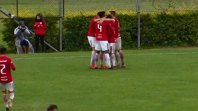 CAMPEONATO BRASILEIRO. SUB-20. GRUPO A. CORINTHIANS-SP. ATLÉTICO-GO. SPORT-PE. ATLÉTICO-MG. GRUPO B. PALMEIRAS-SP. CHAPECOENSE-SC. GRUPO C. CORITIBA-PR. CRUZEIRO-MG. GRUPO D. INTERNACIONAL-RS. SANTOS-SP.