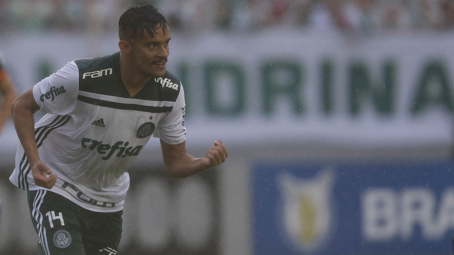 CAMPEONATO BRASILEIRO. SÉRIE A. TRIGÉSIMA QUINTA RODADA. AMÉRICA-MG. SANTOS-SP. PALMEIRAS-SP. PARANÁ CLUBE-PR. SÃO PAULO-SP. CRUZEIRO-MG. GRÊMIO-RS. CHAPECOENSE-SC. FLAMENGO-RJ. SPORT-PE. BOTAFOGO-RJ. INTERNACIONAL-RS.