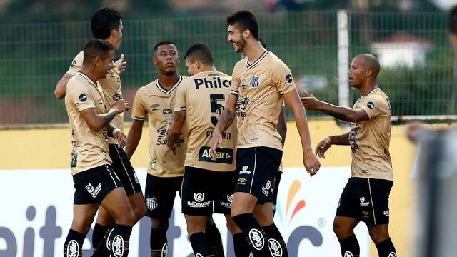 CAMPEONATOS ESTADUAIS. PAULISTA. CARIOCA. GAÚCHO. MINEIRO. BAIANO. GOIANO.
