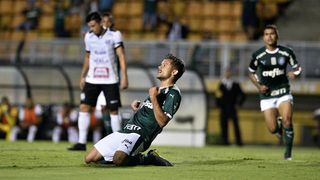 CAMPEONATO PAULISTA. PALMEIRAS-SP. BRAGANTINO-SP.
