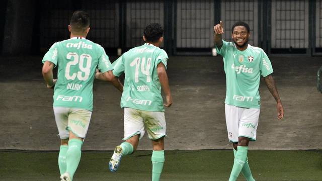 CAMPEONATO BRASILEIRO DA SÉRIE A. DÉCIMA SEXTA RODADA. PRIMEIRA FASE. PALMEIRAS-SP. FLUMINENSE-RJ.