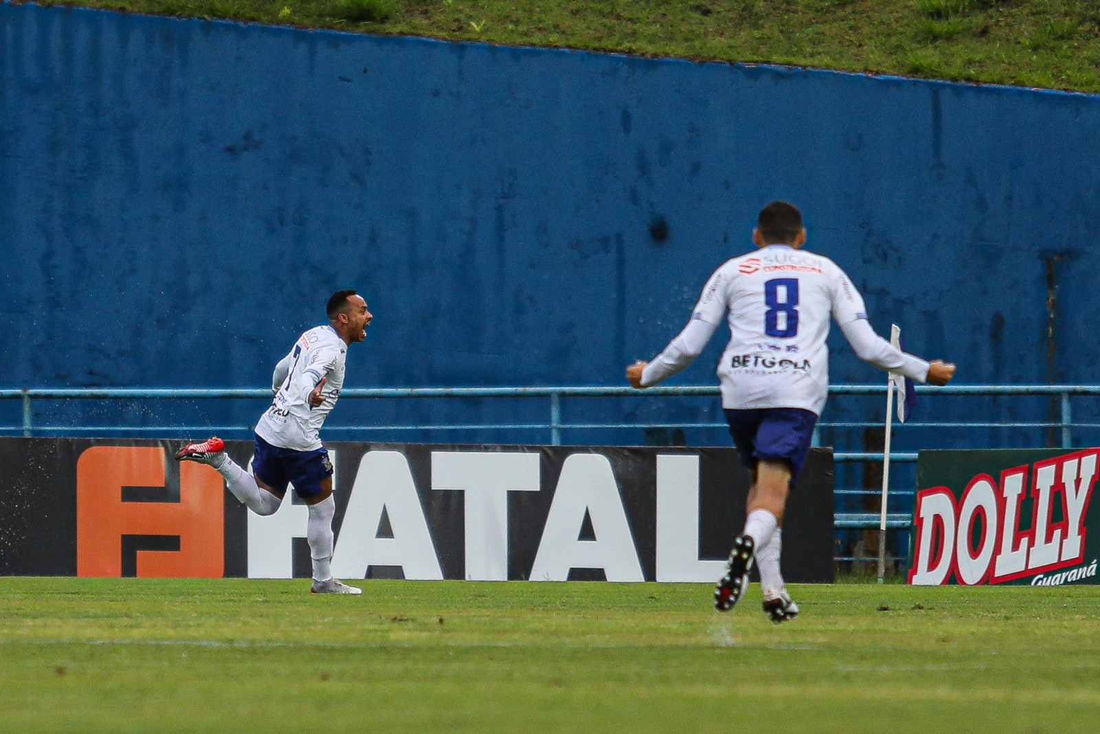 CAMPEONATO PAULISTA.