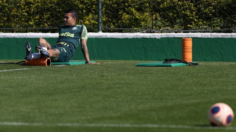 PALMEIRAS-SP. DUDU.