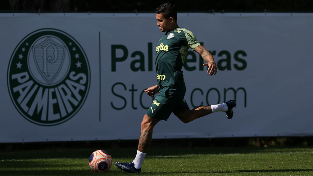 DUDU. PALMEIRAS-SP. BRASIL. CATAR.