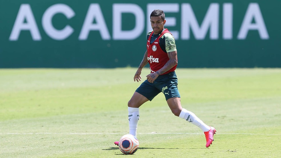 DUDU. PALMEIRAS-SP. AL DUHAIL. CATAR.