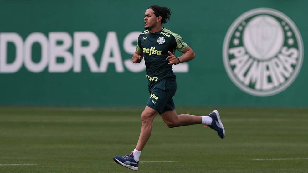 PALMEIRAS-SP. GUSTAVO GÓMEZ.