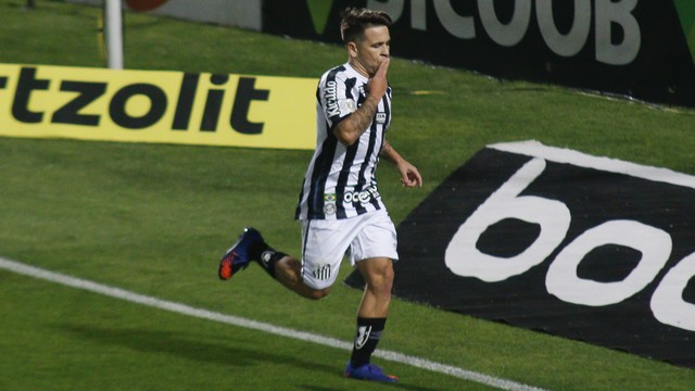 CAMPEONATO BRASILEIRO DA SÉRIE A DE 2020. PRIMEIRA FASE. DÉCIMA SÉTIMA RODADA. SANTOS-SP. CORITIBA-PR.