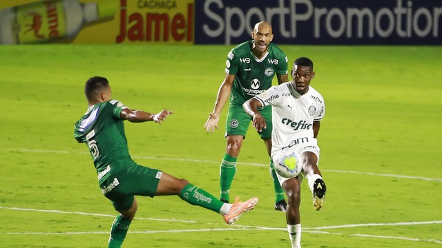 CAMPEONATO BRASILEIRO DA SÉRIE A DE 2020. PRIMEIRA FASE. VIGÉSIMA SEGUNDA RODADA. GOIÁS-GO. PALMEIRAS-SP.