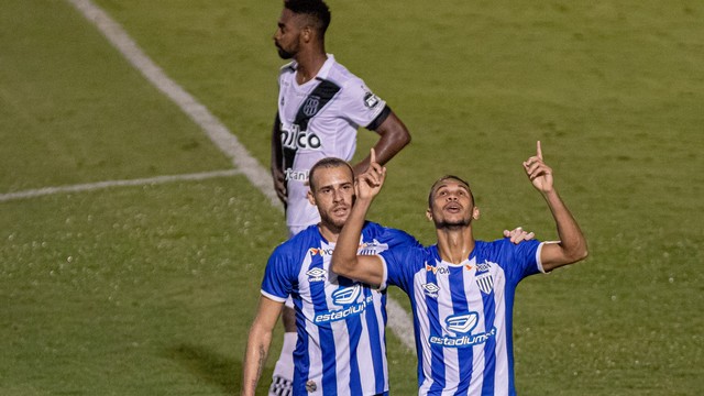 CAMPEONATO BRASILEIRO DA SÉRIE B DE 2020. PRIMEIRA FASE. VIGÉSIMA OITAVA RODADA. AVAÍ-SC. PONTE PRETA-SP.