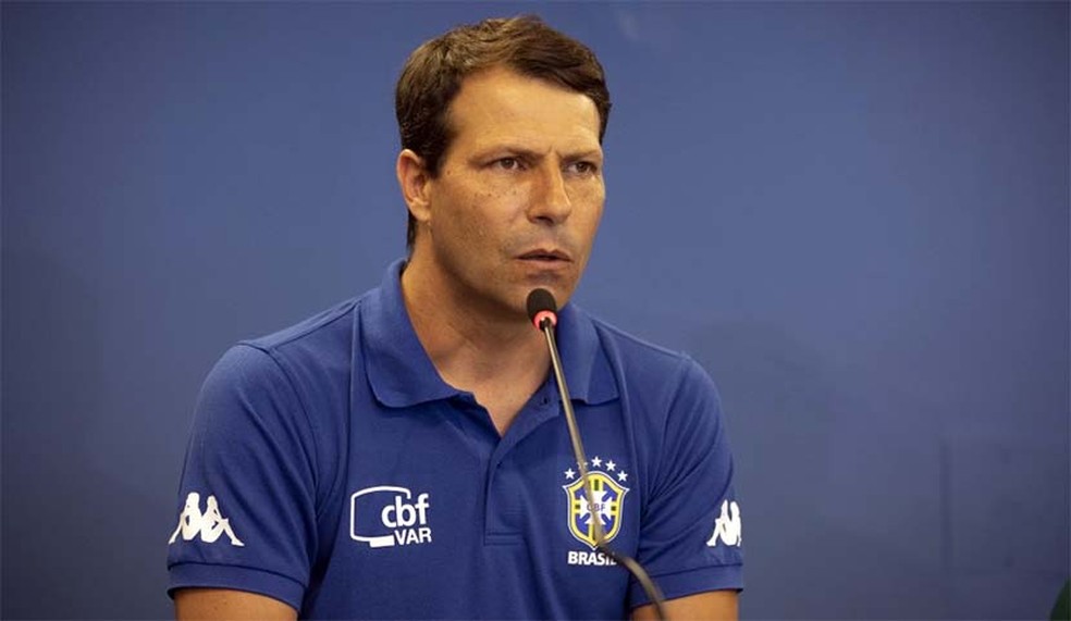 CBF. CONFEDERAÇÃO BRASILEIRA DE FUTEBOL. LEONARDO GACIBA. ALICIO PENA JÚNIOR. TROCA NA ARBITRAGEM.