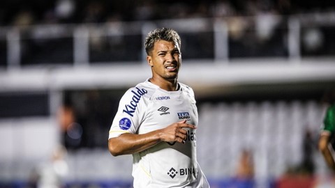 COPA SUL-AMERICANA DE 2023. FASE DE GRUPOS. GRUPO E.S EGUNDA RODADA. SANTOS-SP. BRASIL. AUDAX ITALIANO. CHILE.