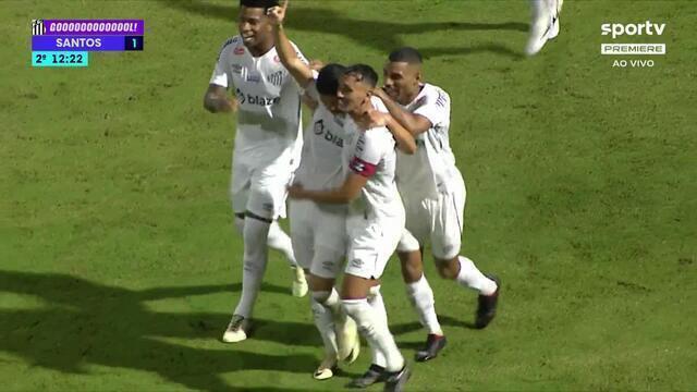 CAMPEONATO BRASILEIRO DA SÉRIE B DE 2024. PRIMEIRA FAFSE. SEGUNDA RODADA. SANTOS-SP. AVAÍI-SC.