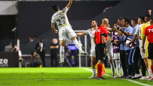 CAMPEONATO BRASILEIRO DA SÉRIE B DE 2024. PRIEMIRA FASE. DÉCIMA PRIMEIRA RODADA. SANTOS-SP. GOIÁS-GO.
