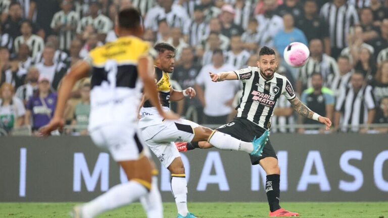 CAMPEONATO BRASILEIRO DA SÉRIE A DE 2024. PRIMEIRA FASE. TRIGÉSIMA RODADA. BOTAFOGO-RJ. CRICIÚMA-SC.