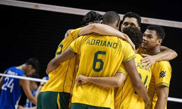AMISTOSO INTERNACIONAL. FRANÇA. BRASIL. VÔLRI. MASCULINO.